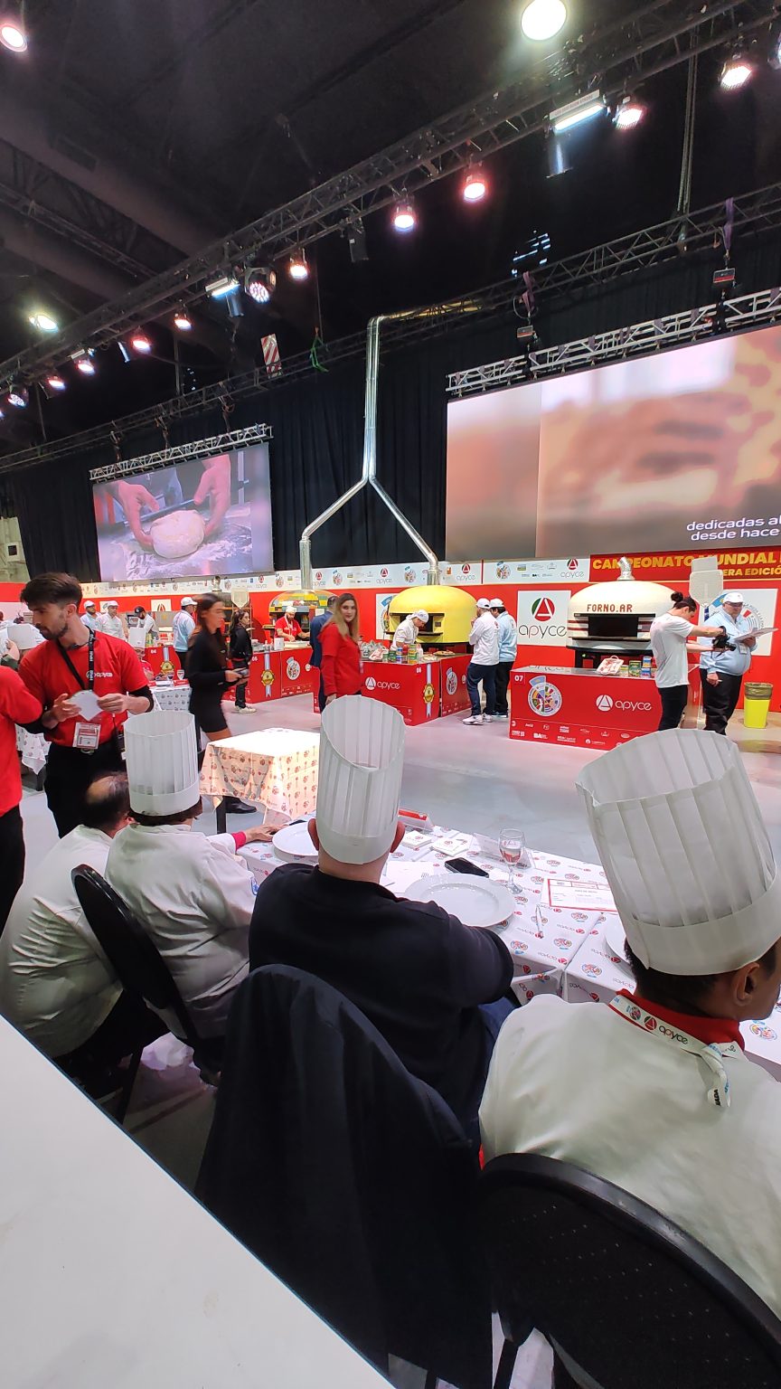 IMG_20240604_173810854 (1)